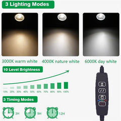 S31d468796d2044f8ae98b97f1b66181eu
